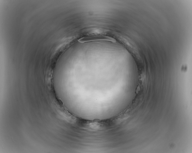 X0000091580423200709051104