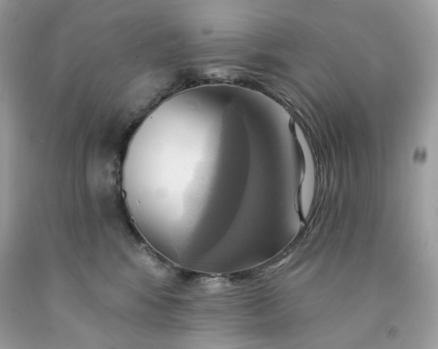 X0000091580424200709051104