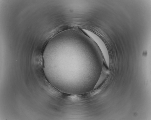 X0000091580425200709051104