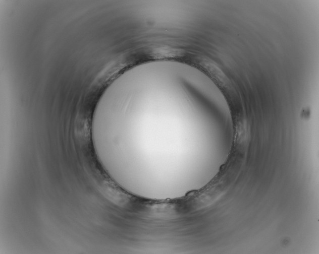 X0000091580426200709051104