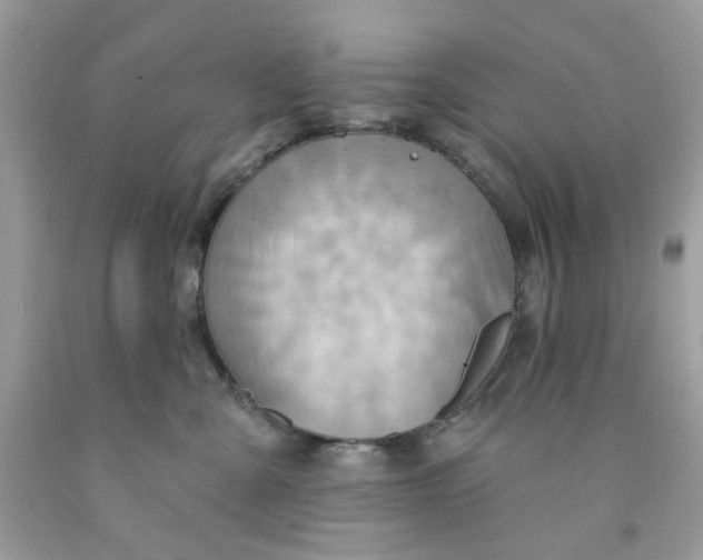 X0000091580427200709051104