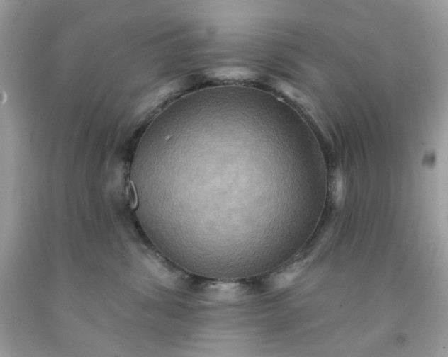 X0000091580428200709051104