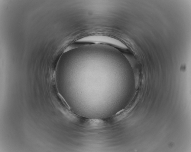 X0000091580429200709051104