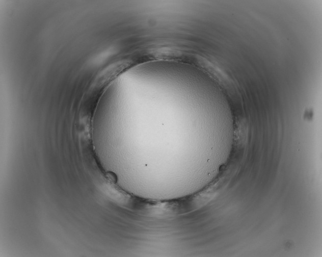 X0000091580430200709051104