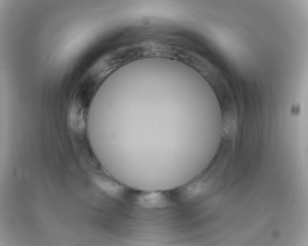 X0000091580431200709051104