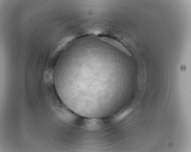 X0000091580432200709051104