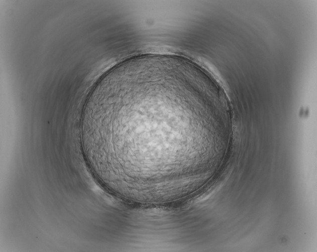 X0000091580433200709051103