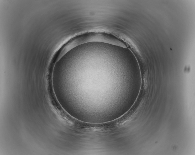 X0000091580436200709051103