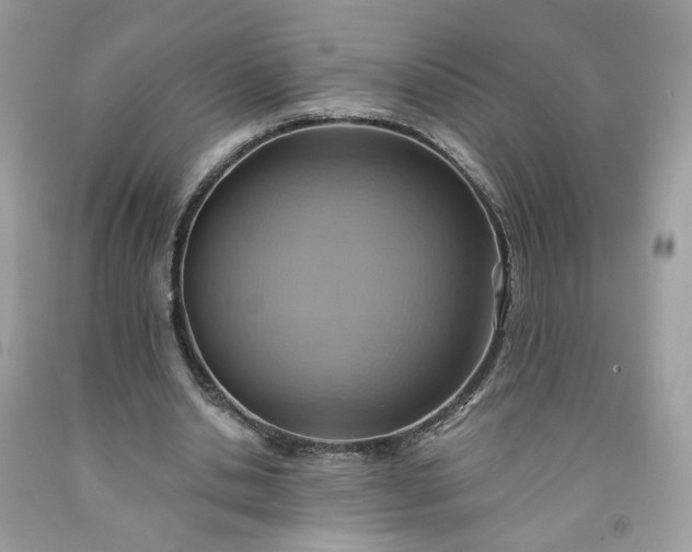 X0000091580438200709051103