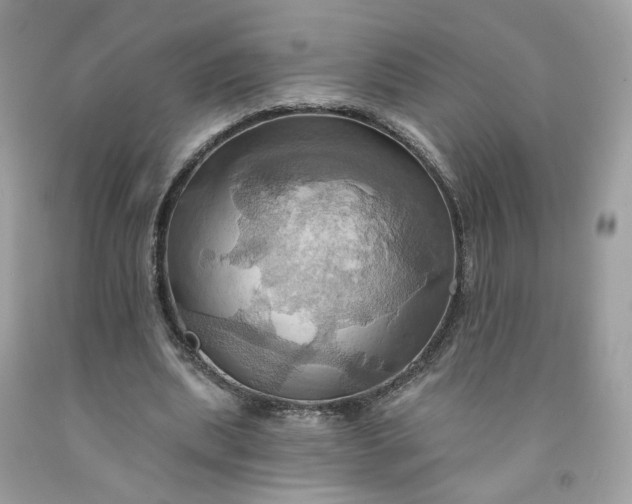 X0000091580439200709051103