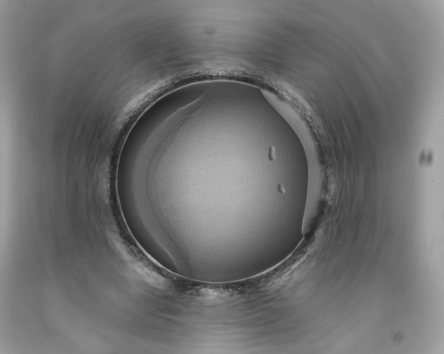 X0000091580442200709051104