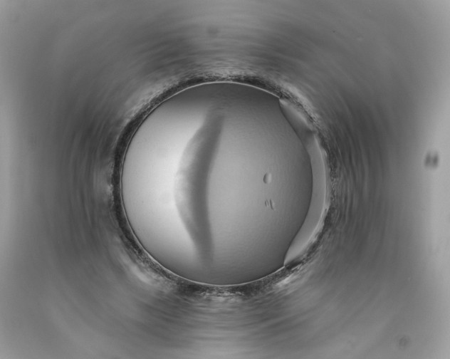 X0000091580443200709051104