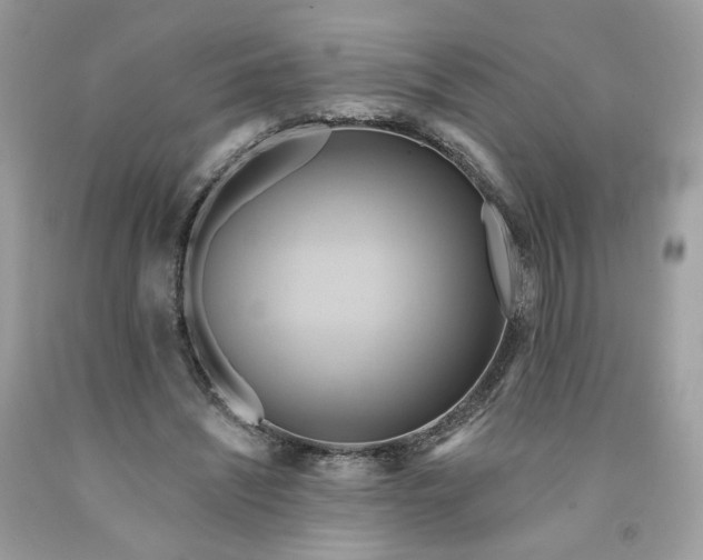 X0000091580444200709051104