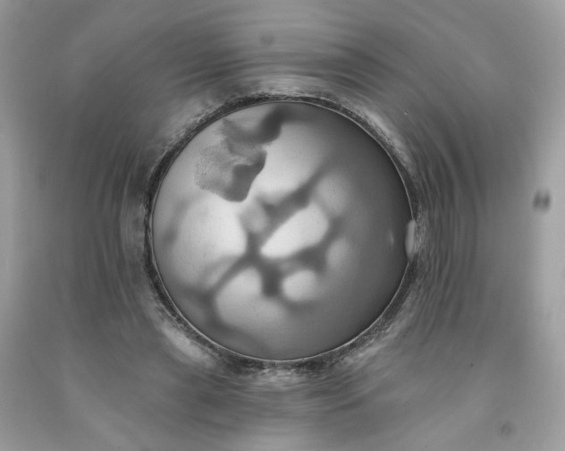 X0000091580445200709051104