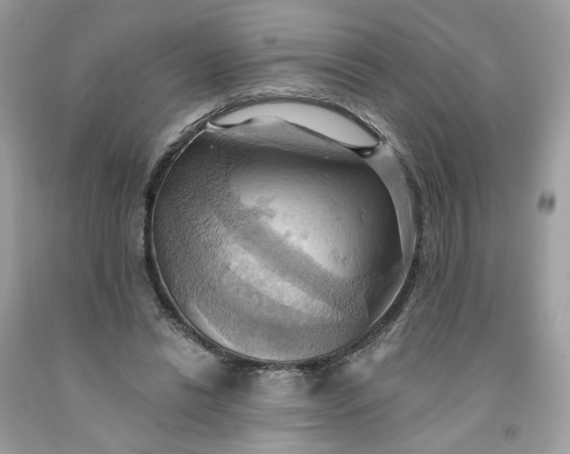 X0000091580446200709051104