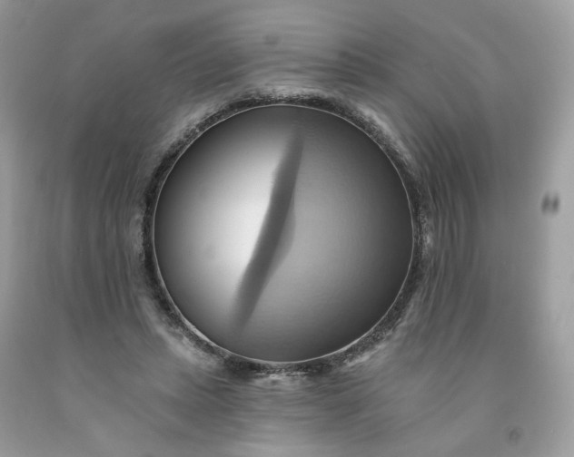 X0000091580447200709051104