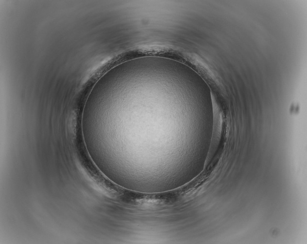 X0000091580448200709051104