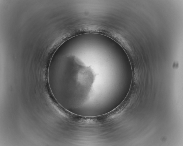 X0000091580449200709051104