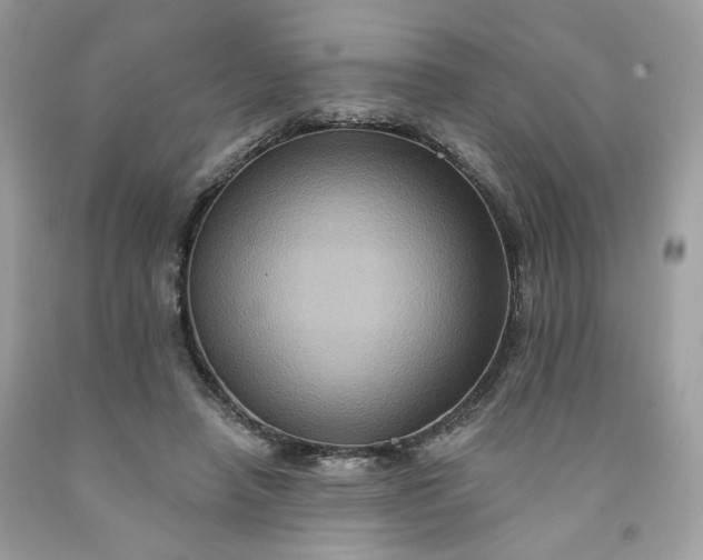 X0000091580450200709051104