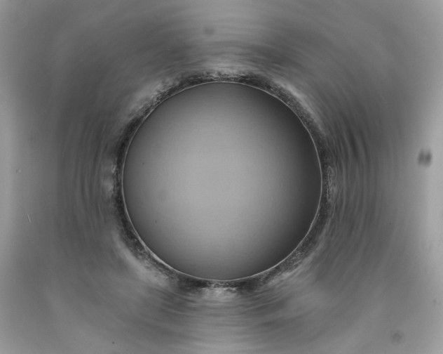 X0000091580451200709051104