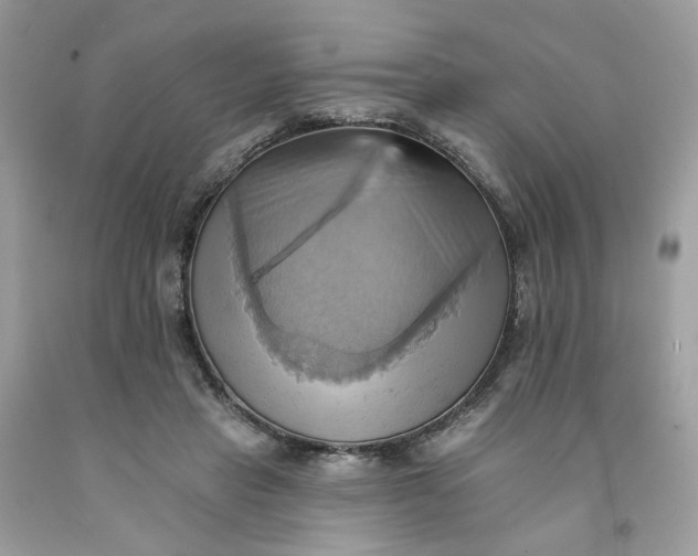 X0000091580453200709051104