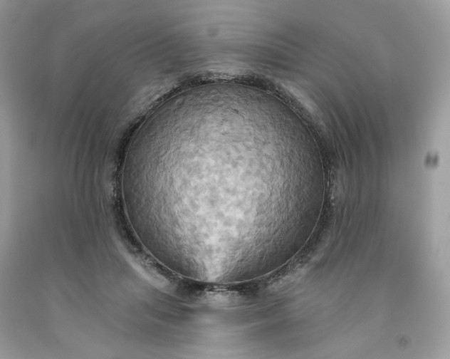 X0000091580455200709051104