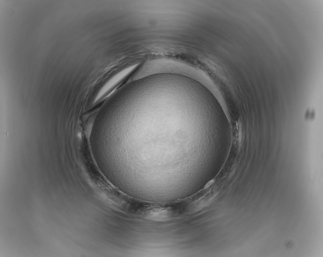 X0000091580456200709051104