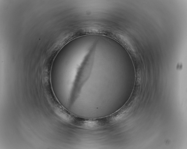 X0000091580457200709051104