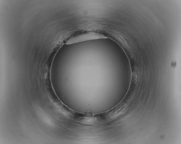 X0000091580458200709051104