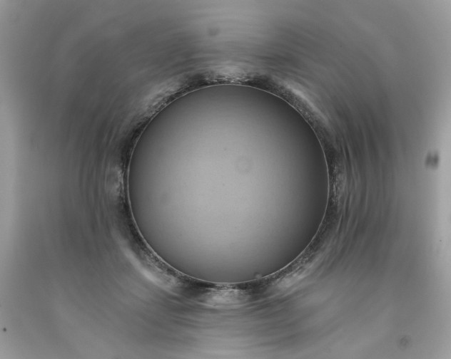 X0000091580459200709051104