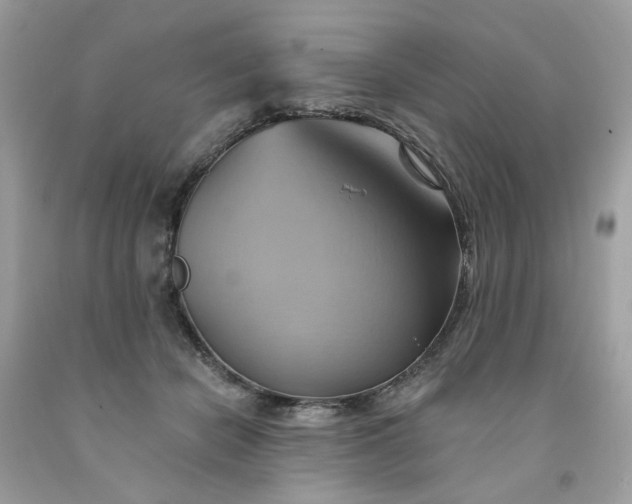 X0000091580462200709051104