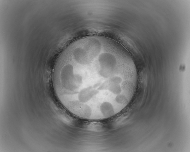 X0000091580463200709051104