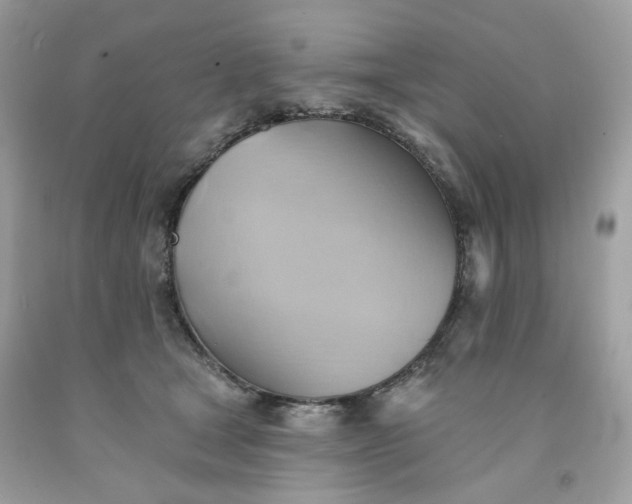 X0000091580465200709051104