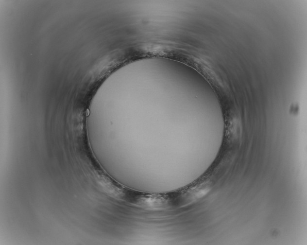 X0000091580466200709051104