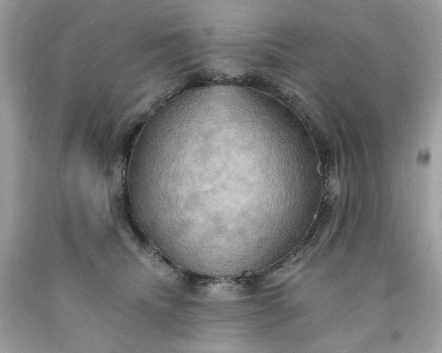 X0000091580468200709051104