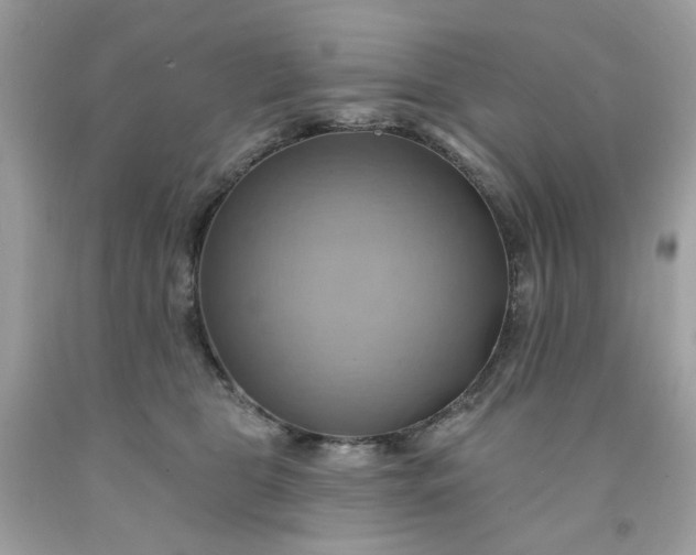 X0000091580469200709051104