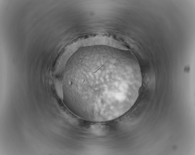 X0000091580470200709051104