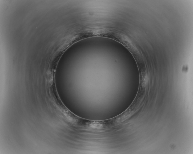 X0000091580471200709051104