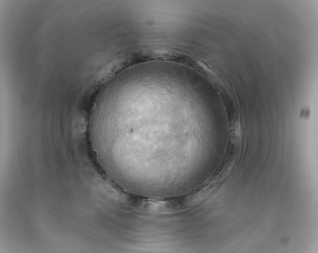 X0000091580472200709051104