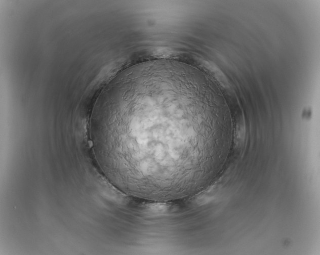 X0000091580473200709051104