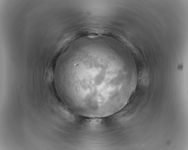 X0000091580474200709051104