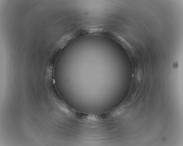 X0000091580475200709051104