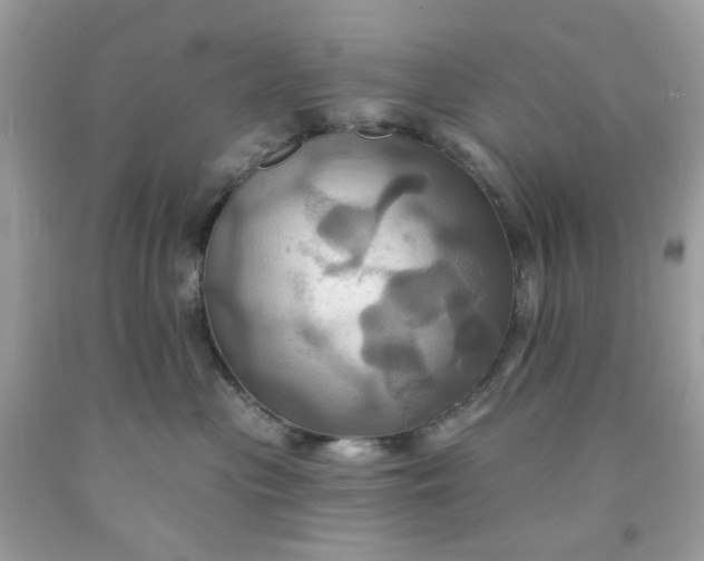 X0000091580477200709051104