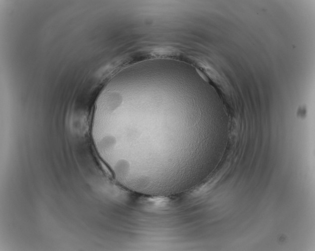 X0000091580478200709051104