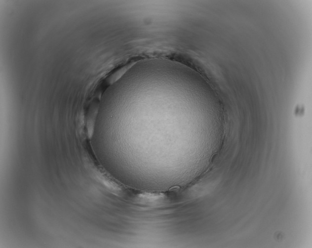 X0000091580480200709051104