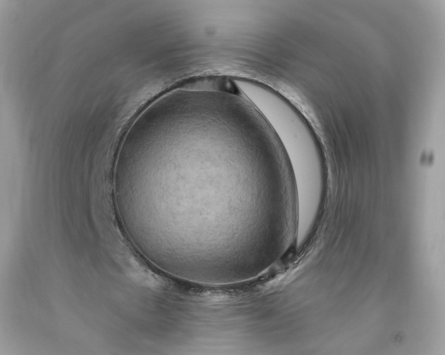 X0000091580481200709051103