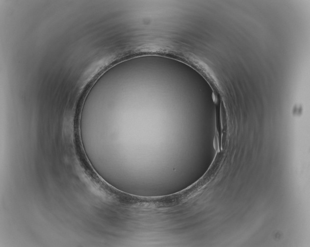 X0000091580482200709051103