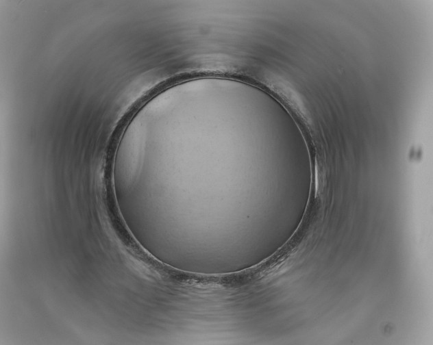 X0000091580483200709051103