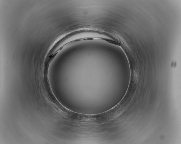 X0000091580484200709051103