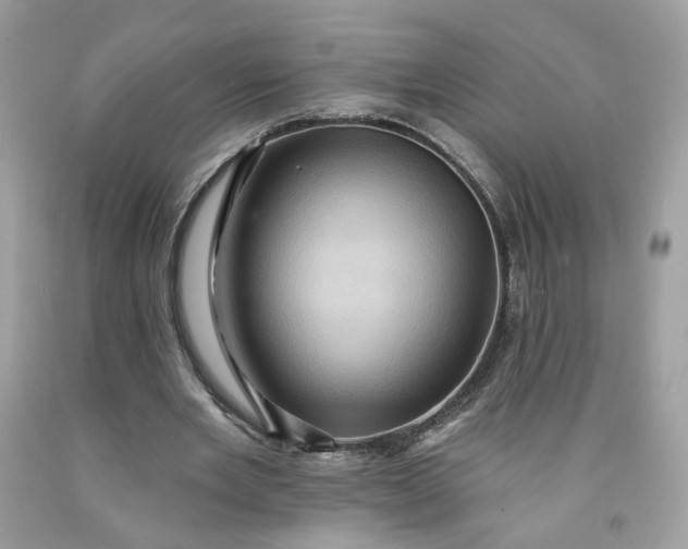 X0000091580485200709051103